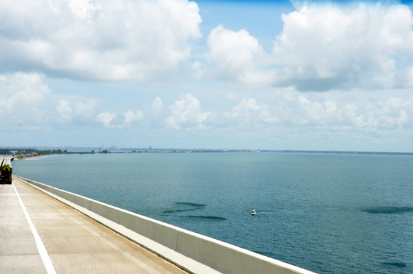 schools of fish seen off The Bob Graham Sunshine Skyway Bridge